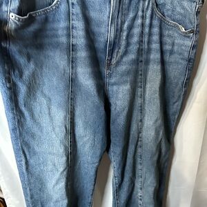 Torrid Women's High Rise Blue Jeans size 20 short
